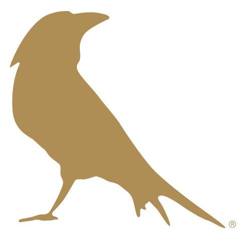 Cuervo